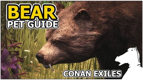 BEAR | Pets Guide | CONAN EXILES - YouTube
