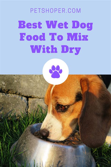 By momconcern on may 21, 2021. Best Wet Dog Food To Mix With Dry [TOP 7 REVIEW ...
