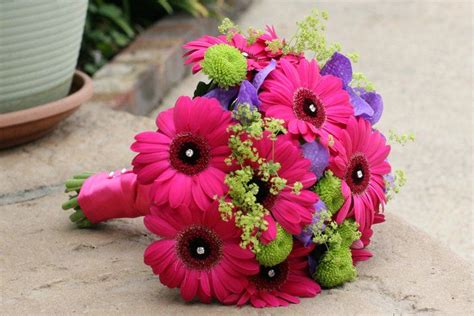 Gerbera 15 Flowers In Season In February For Wedding Everafterguide