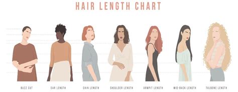 Details More Than 79 Hair Growth Chart Months Super Hot Ineteachers