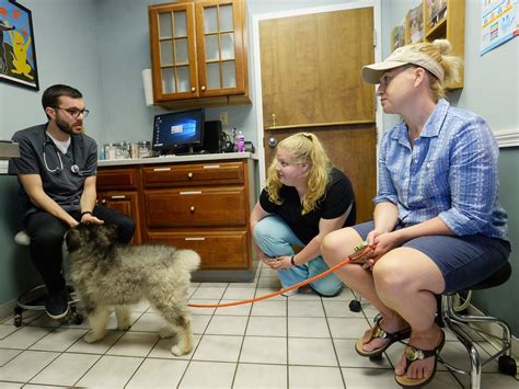 A veterinarian reveals 4 things they wish they could tell pet owners