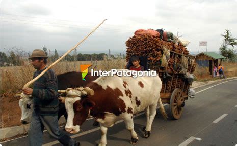 Continue further in the list below to get to the place you are interested in. Circuito Nueva imperial y Carahue - Temuco