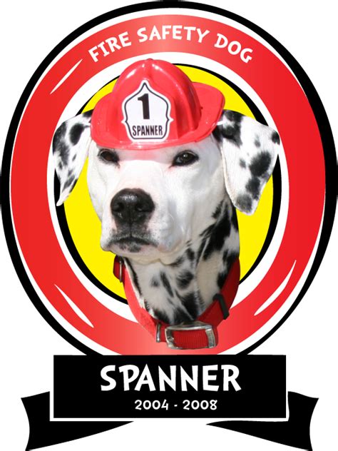 Fire Safety Rocks About The Fire Safety Dogs