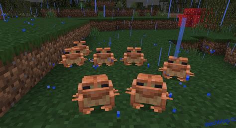 Minecraft Frogs Jak Je Najít Etechblogcz