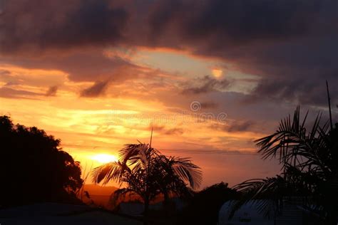 Sunset Palm Hues Stock Photo Image Of Blue Many Beauty 125202796