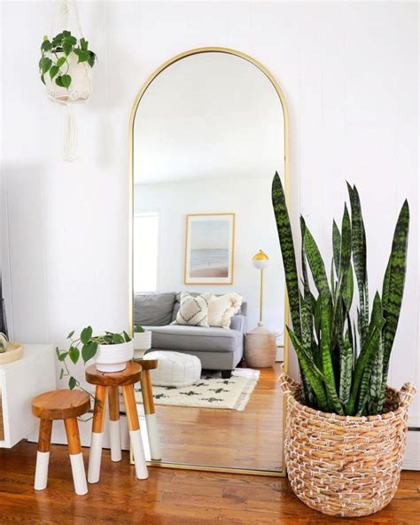 10 Lush Indoor Plants Ideas To Decorate Your Home Decoholic Mirror