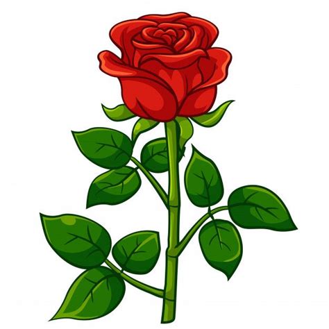 10 Rosa Roja Dibujo
