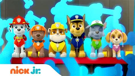 Paw Patrol Anuncia Su Nuevo Juego Para Consolas Y Pc — Laps4