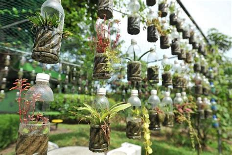 13 Plastic Bottle Vertical Garden Ideas Soda Bottle