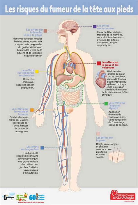 Tabagisme Facteur De Risque Majeur Qui Concerne Tout Le Monde Fumeur