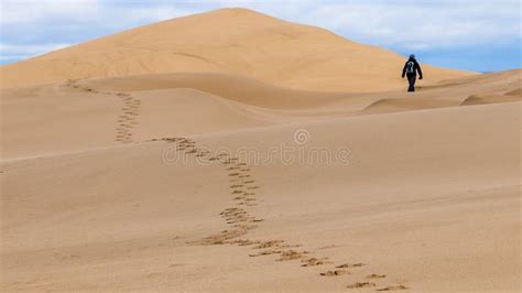 Silhouette Of A Woman Walking Away On A Sand Dune Stock Image Image