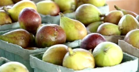 Almanac Gardener Growing Tasty Figs Season 3000 Episode 3008 Pbs