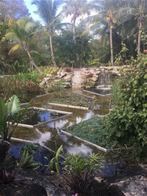 Mounts Botanical Garden (West Palm Beach, FL): Top Tips ...