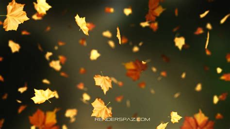 Fall Animated Wallpaper Windows 8 Youtube Autumn Leaves Autumn
