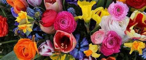 Flower Bowl Florist Sheffield Order Online Or 0114 2344163
