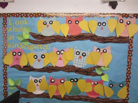 Owl Bulletin Board And A Freebie Mrs Bs Beehive Owl Bulletin