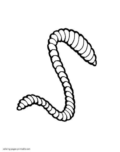 Realistic Worm Coloring Sheet Coloring Pages Printablecom