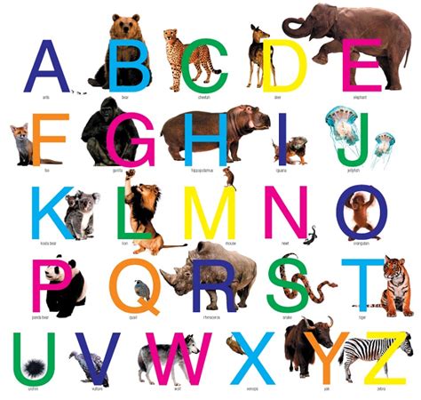 Zoo Scavenger Hunt Ideas Alphabet Animals — Scavenger Hunt