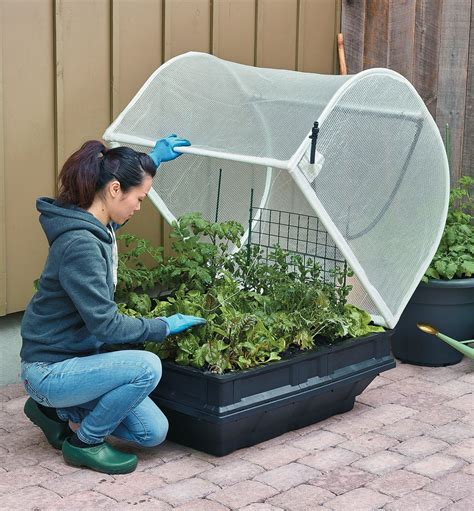 Vegepod Container Garden In 2020 Container Gardening Water Plants