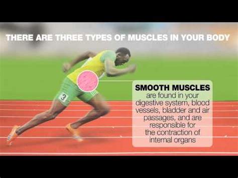 Usain bolt's top speed is 27 mph. Infographic: Usain Bolt and speed - YouTube
