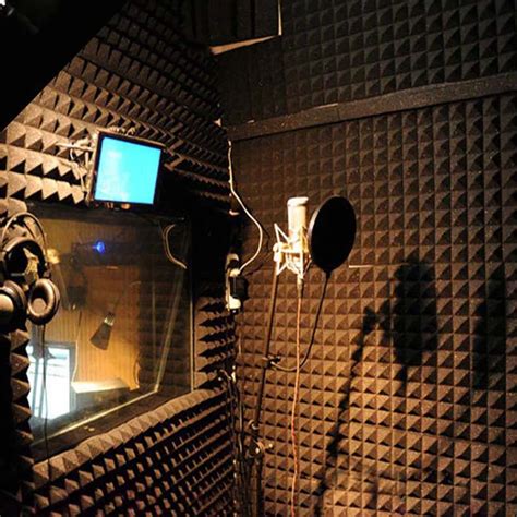 Soundproofing Foam Acoustic Foam Panels Sound Treatment Studio Room