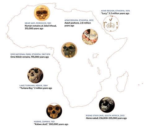 Resourcesforhistoryteachers Origins Of Modern Humans In Africa