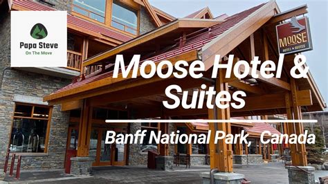 Moose Hotel And Suites Banff Canada Youtube