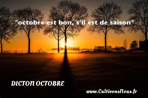 Octobre Est Bon Sil Est De Saison Un Dicton Sur Octobre