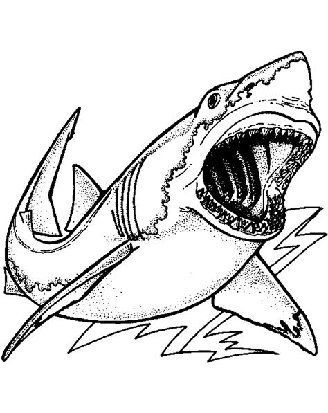 Shark Coloring Pages Printable Printable Templates