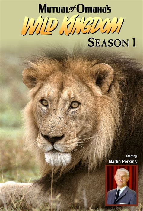 Mutual Of Omahas Wild Kingdom Aired Order Season 1