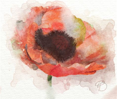 Watercolour Watercolor Paintings Artrage Water Colors Pen And Wash