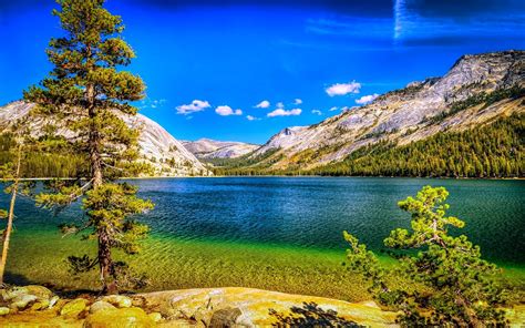 1014174 Trees Landscape Forest Mountains Lake Water Nature