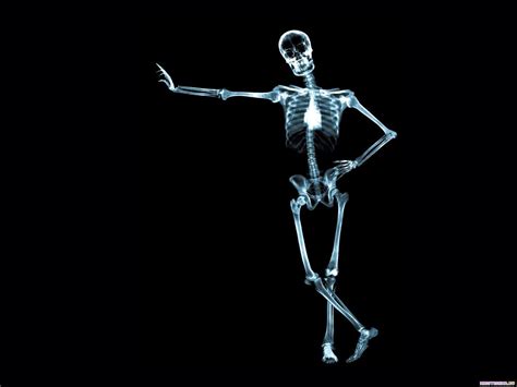 Skeleton Images 3d Wallpaper Skeleton Wallpapers Top Free Skeleton