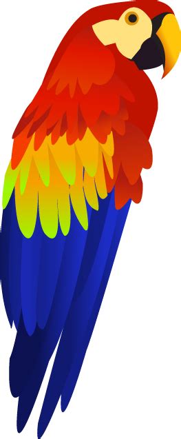 Colorful Parrot Png Images Free Download Transparent Image Download