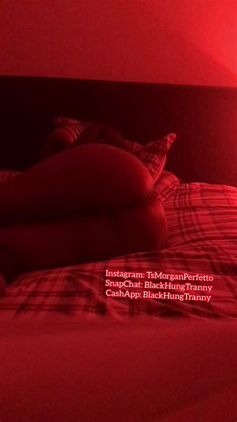 ig ts morgan perfetto bored at home waiting for you with this phat ass