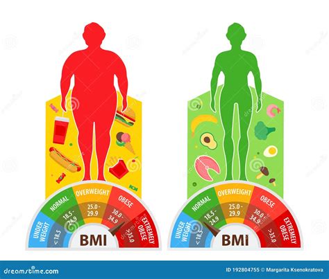 Weight Loss Concept Body Mass Index Bmi Before And After Diet And