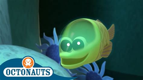 Octonauts The Fish That Glows In The Dark Full Episodes Cartoons