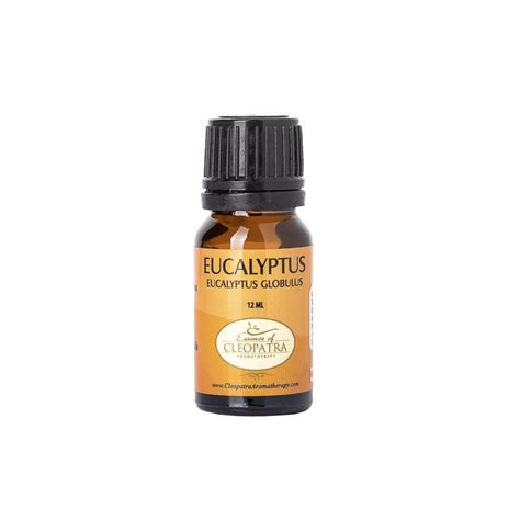 Eucalyptus Organic Essential Oil Powerful Aromatherapy Solution