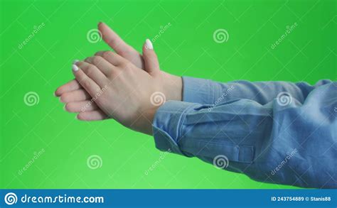 Applause Kid Clapping Hands Applauding On Green Screen Chroma Key