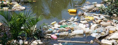 Plastic Pollution Saving Earth Encyclopedia Britannica