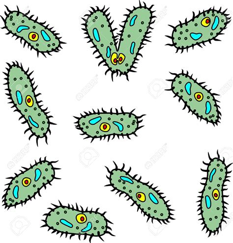 Zooplankton Clipart Free Download On Clipartmag