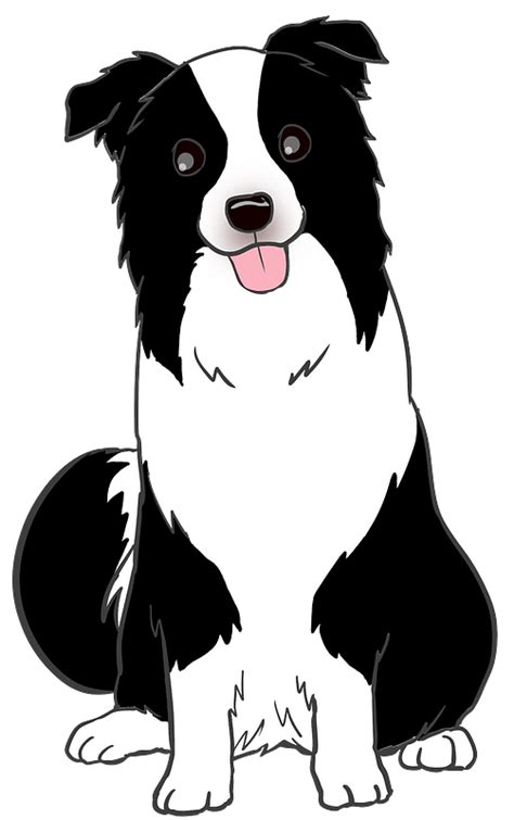 Border Collie Dog Animal Clipart Free Download Transparent Png
