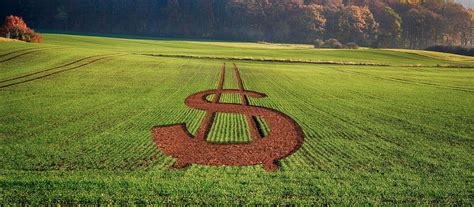 (economics) acronym of producte interior brut or producte intern brut (gdp (gross domestic product)). PIB do Agronegócio acumula avanço de 2,42% em 2020