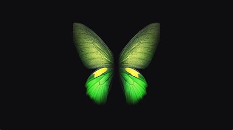 Samsung Galaxy Fold Green Butterfly 4k Wallpapers Hd Wallpapers Id