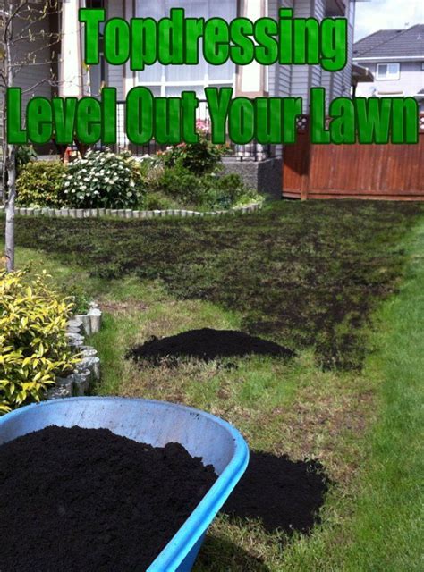 Diy levelawn/lawn lute/leveling rake diy levelawn/lawn lute/leveling rake: Topdressing - Level Out Your Lawn | Lawn care, Diy lawn, Lawn and garden