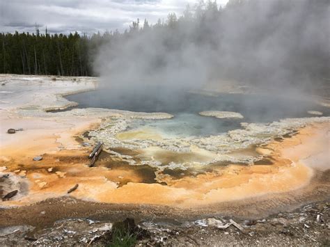 Visiting Yellowstone Americas First National Park Tips Tricks And