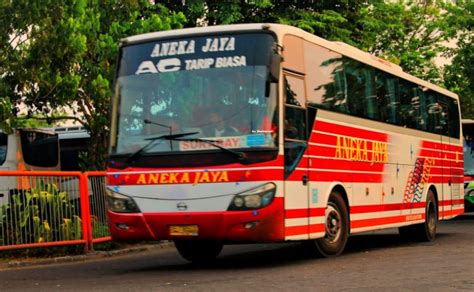 Bus Aneka Jaya Harga Tiket Jadwal Agen 2024