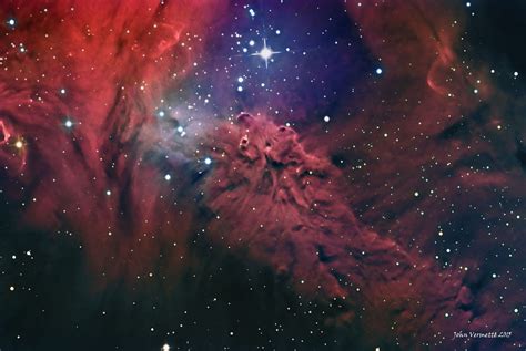 Astronomy Picture Of The Day The Fox Fur Nebula