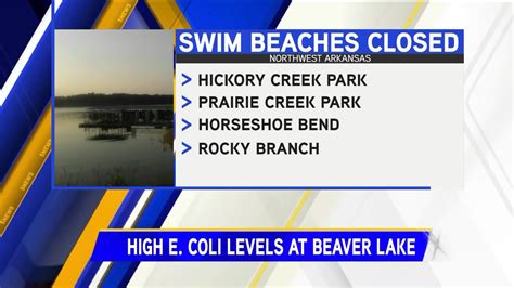 Beaver Lake Closes Several Swim Beaches Due To E Coli