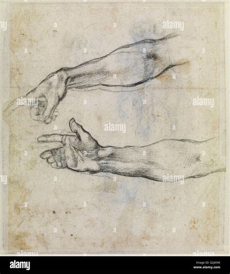 Michelangelo Drawing Man